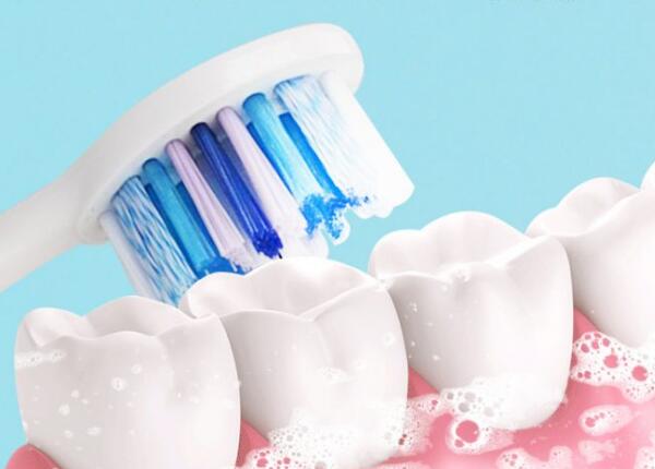 刷博士電動牙刷頭