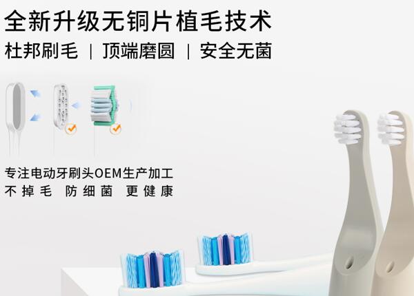 刷博士電動牙刷頭生產(chǎn)代工貼牌
